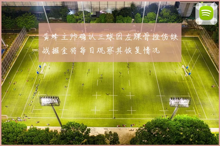 黄蜂主帅确认三球因左踝骨挫伤缺战掘金将每日观察其恢复情况
