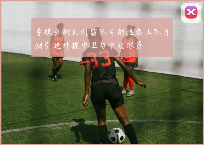 鲁媒分析瓦科留队可能性泰山队计划引进外援中卫与中场球员