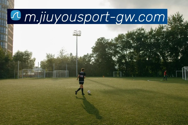 九游娱乐平台生态图